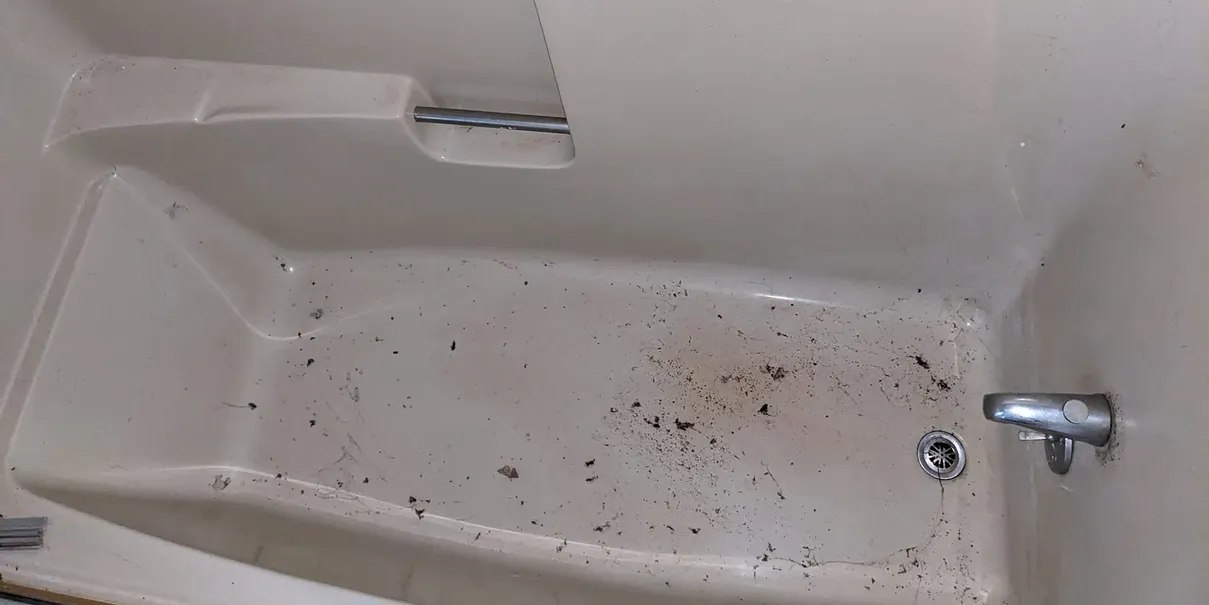 Bathtub before cleaning, with dirt and debris settled along the base and around the drain.